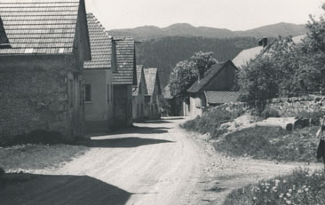 eika image